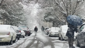 Прогноз зимней погоды на 2025–2026 годы объявлен