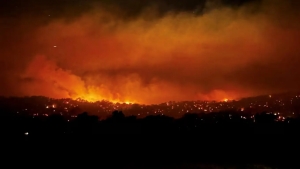 В Австралии лесные пожары уничтожили 350 тысяч гектаров