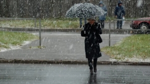 12 yanvar: O‘zbekistonda iliq ob-havo, ayrim joylarda tuman.