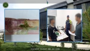 Bostanliqda giyohvandlik moddasi saqlovchi ushlandi