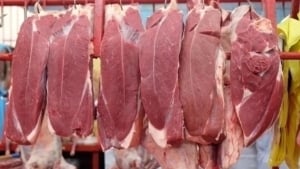 Mol go‘shti narxi 60 yil ichida rekord darajada oshdi