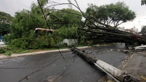 Braziliyada tornado: 5 kishi halok, 130 jarohatlandi