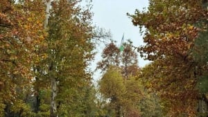 7-noyabrda O‘zbekistonda havo barqaror bo‘ladi