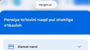 Pensiyani onlayn rasmiylashtirish xizmati yo‘lga qo‘yildi