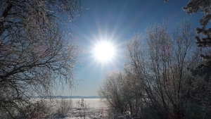 The weather will be warm and sunny on the weekend