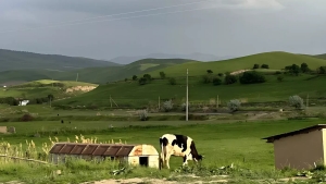 O‘zgidromet: Mart oyi boshida biroz sovuq bo‘ladi, keyin kunlar isiydi