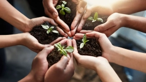 In Uzbekistan, 1.9 trillion soums will be allocated for ecology in 2026