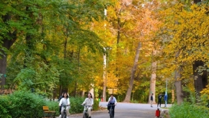 Cycling and scooter riding are prohibited in the Tashkent Botanical Garden.