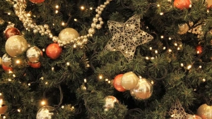 2025-yil dekabrda qo‘shimcha dam olish kuni belgilandi