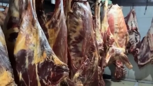 Toshkentda 600 kg yaroqsiz go‘sht musodara qilindi