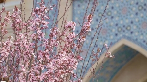 O'n to'rtinchi martda O'zbekistonda ob-havo yaxshilanadi