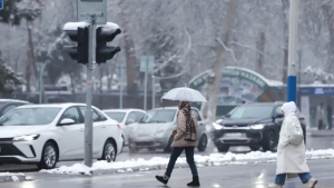 23 января: Ожидаются снег, туман и холод
