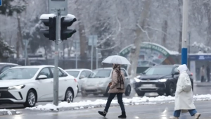 23-yanvar: Qor, tuman va sovuq kutilmoqda