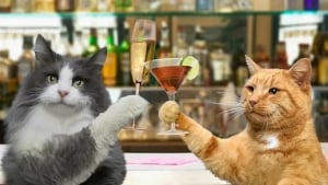 Yangi Zelandiyada uy hayvonlari uchun vino ishlab chiqildi