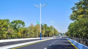 O'zbekistonda 2026-yildan muntazam ravishda avtomobilsiz kunlar o'tkaziladi