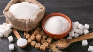 Sugar production sharply declined in 2025