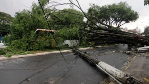 Braziliyada tornado: 5 kishi halok, 130 jarohatlandi