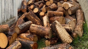 В Индии нехватка газа привела к возвращению к традиционным видам топлива