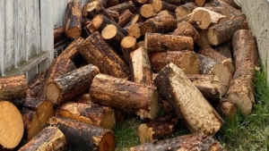 В Индии нехватка газа привела к возвращению к традиционным видам топлива