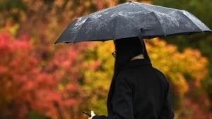 Ertaga Toshkentda qisqa muddatli yomg‘ir yog‘adi