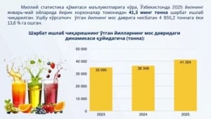 Juice production in Uzbekistan reached 41.3 thousand tons