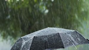 Despite spring, the weather in Uzbekistan has sharply cooled.