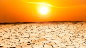 The heatwave and drought in the Northern Hemisphere are worrying scientists