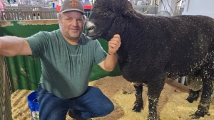 Fermerlar xalqaro bozorda qiyinchiliklarga duch kelmoqda