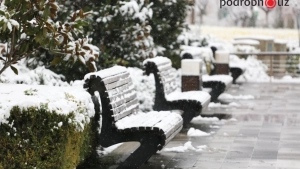 In January, cold weather and precipitation are expected in Uzbekistan