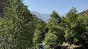 On November 14, the weather in Uzbekistan will be dry and warm