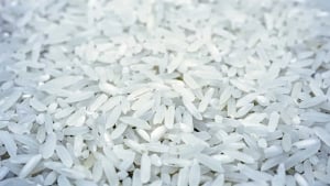 Узбекистан стал крупнейшим покупателем киргизского риса