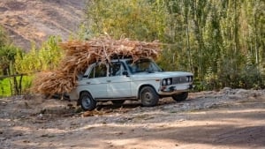 Qodirov 50 yildan eski mashinalarni chiqarishni taklif qildi