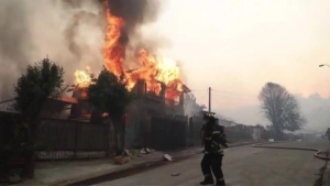 Chilida o‘rmon yong‘inlari 19 kishini hayotdan olib ketdi