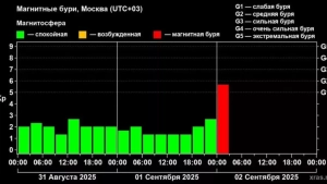 Strong geomagnetic storm lasts for 15 hours