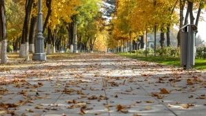 Warm and windy weather in Uzbekistan in early October
