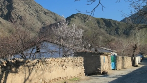 Ijtimoiy yordam tizimi yangilanadi: yangi tartib joriy etiladi