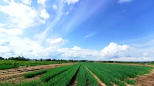 New rules and fines have been introduced for the use of agricultural lands