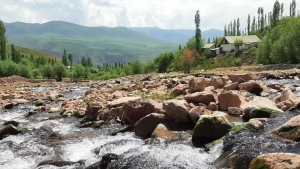 O'zbekistonda may oyida havo harorati me'yordan yuqori bo'ladi