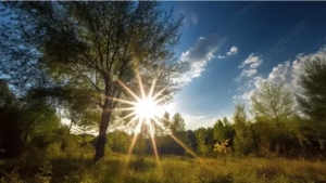 It was announced what the weather will be like on June 26