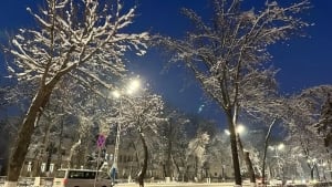 Tog‘li hududlarda qor ko‘chishi xavfi e’lon qilindi