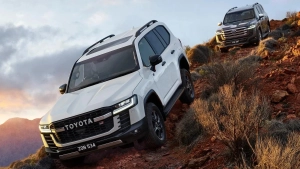 Toyota yo'ltanlamaslar uchun yangi himoya tizimini ishlab chiqdi