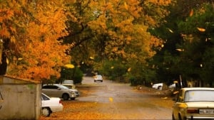 В течение недели погода будет тёплой и без осадков