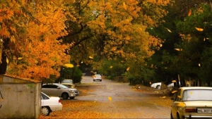 The weather will be warm and dry throughout the week