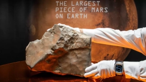 A meteorite from Mars was sold for 5.3 million dollars