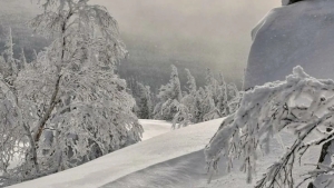 Tog‘li hududlarda qor ko‘chishi xavfi oshdi