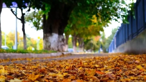 October 27: Weather in Uzbekistan is variable, no precipitation