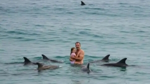 Dolphins saved the family from a great white shark attack