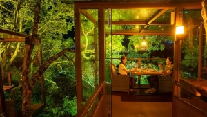 Monteverde o‘rmonida samolyot kabinalar restorani ochildi