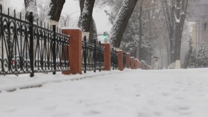 December 23: Snow, fog, and warm days are expected