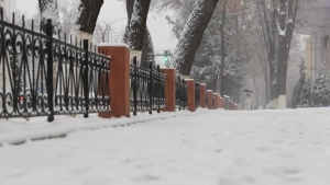 December 23: Snow, fog, and warm days are expected